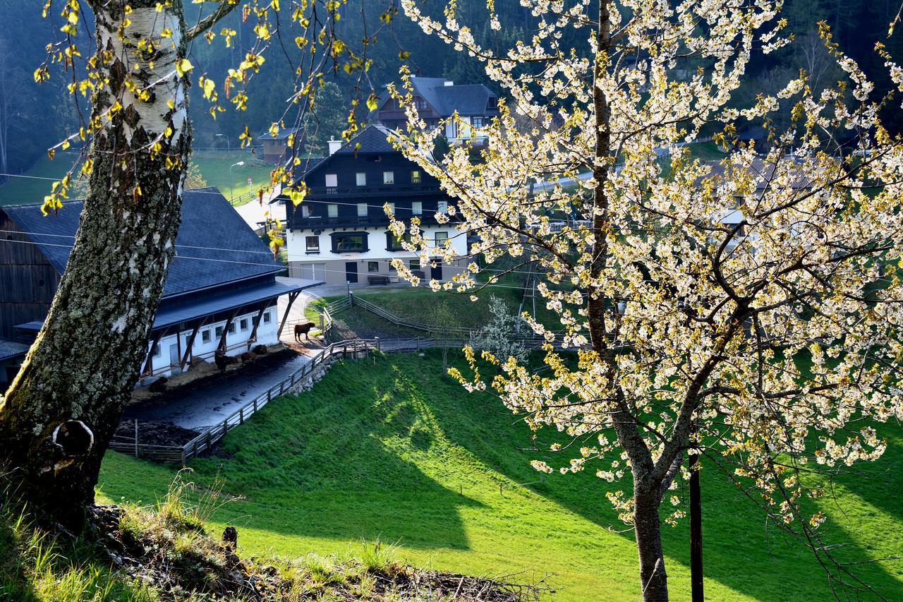 Fruehstueckspension Ochnerbauer Kindberg Exterior foto